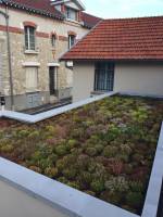 LAURE BELLON - ALBA_